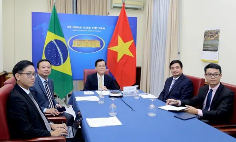 Tham khảo chính trị lần VIII cấp Thứ trưởng Ngoại giao Việt Nam–Brazil