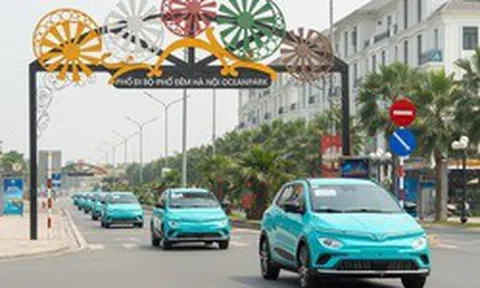 Taxi điện của tỉ phú Phạm Nhật Vượng sẽ có mặt ở 5 thành phố lớn trong năm nay