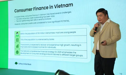 Ngày càng nhiều “đại gia” châu Á nhảy vào chia “miếng bánh” tài chính tiêu dùng Việt Nam